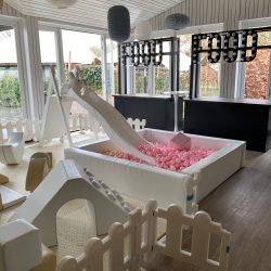 Ameezing Restaurant Abel 2