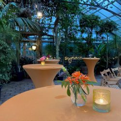 Botanische tuin zuidas