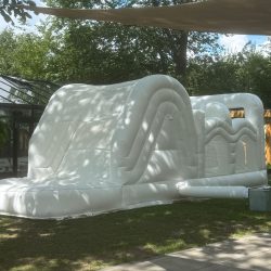 Elegant White Wave 2