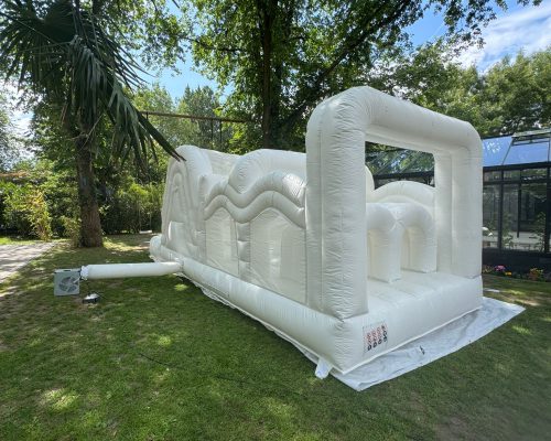 Elegant White Wave